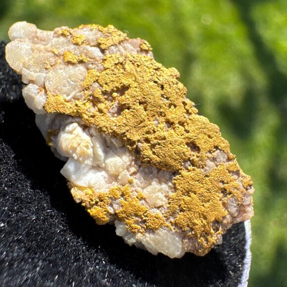 VERY RICH Gold in Quartz Specimen- California - 10.8 grams - Picture 4 of 12